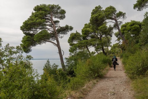 escursione_santa_croce_strada_salvia